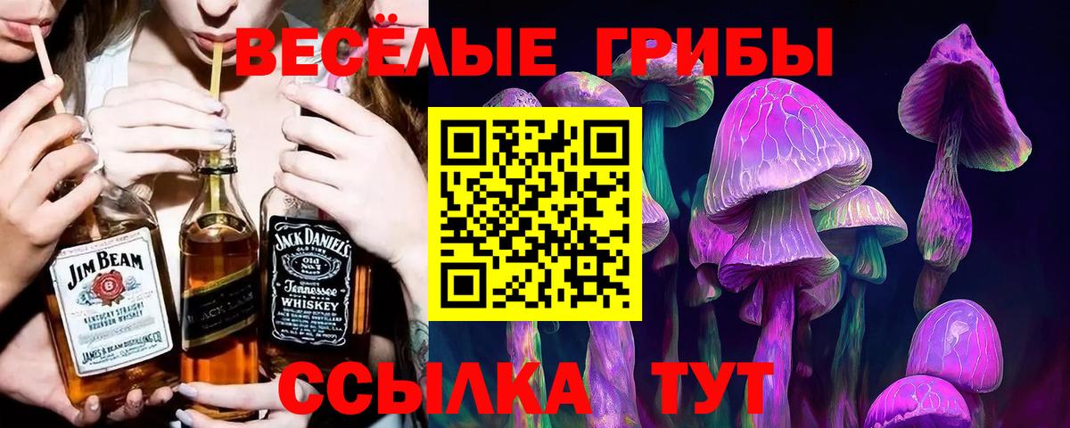Псилоцибиновые грибы ЛСД Феодосия